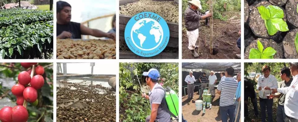 Abre tu cafetería desde cero aprendiendo a desarrollar distintas líneas de negocio con nosotros en nuestro curso para poner tu cafetería desde cero.