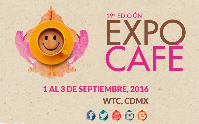 Abre tu cafetería desde cero y conocer más sobre las distintas calidades de café en nuestro curso para abrir una cafetería desde cero.