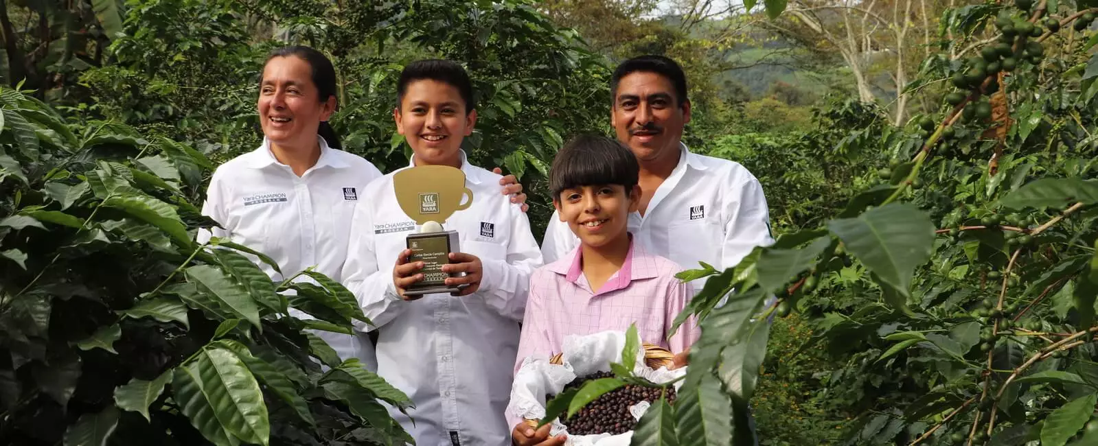 Abre tu propia cafetería desde cero y profesionalízate aprendiendo sobre el café de especialidad con nosotros en nuestro curso para iniciar tu cafetería desde cero.