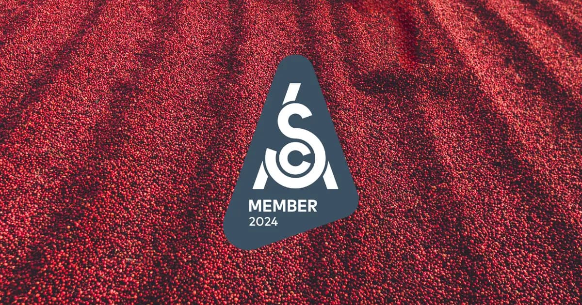 Somos miembros de la Specialty Coffee Association (SCA) y en nuestro curso para abrir tu cafetería desde cero aprenderás de las mejores prácticas de la industria.
